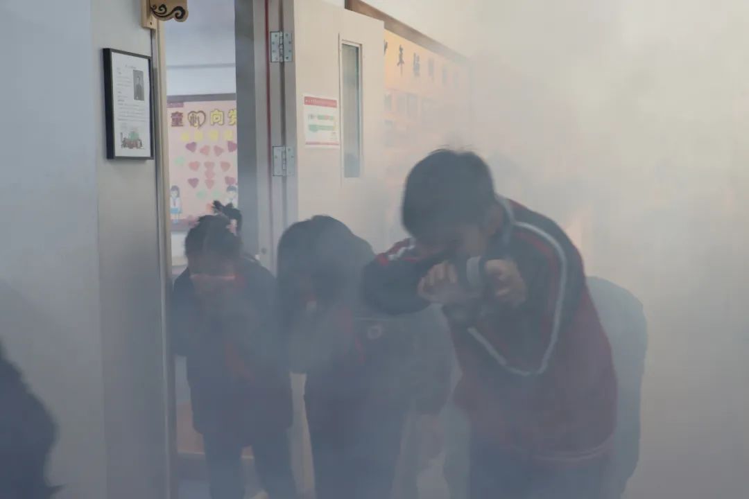 1680141535128290.jpg